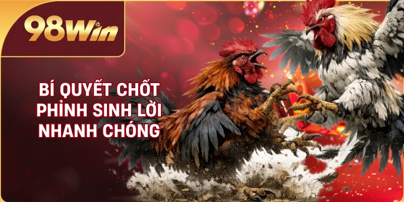Bí quyết chốt phỉnh sinh lời nhanh chóng