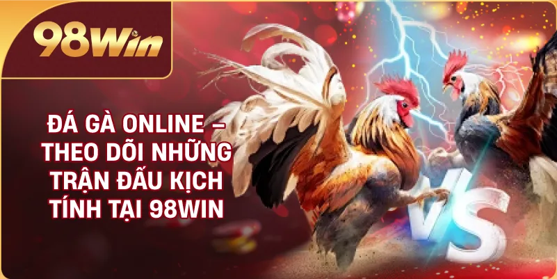 Đá Gà Online – Theo Dõi Những Trận Đấu Kịch Tính Tại 98WIN