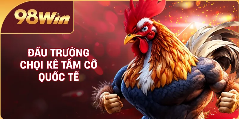Đấu trường chọi kê tầm cỡ quốc tế