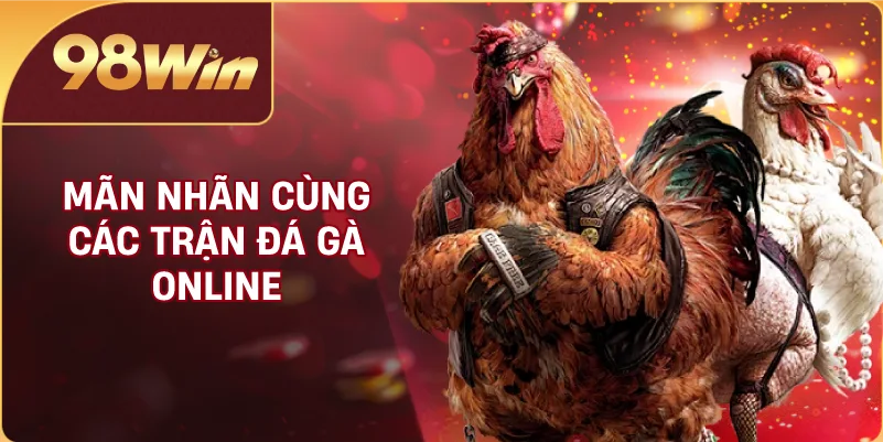 Mãn nhãn cùng các trận đá gà online