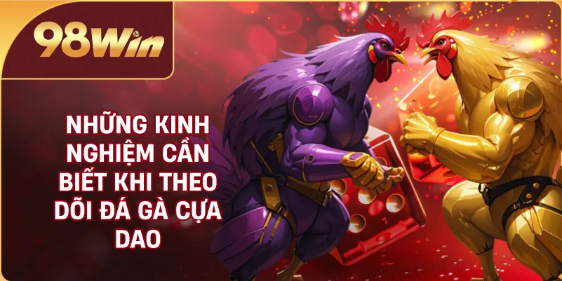 Những Kinh Nghiệm Cần Biết Khi Theo Dõi Đá Gà Cựa Dao