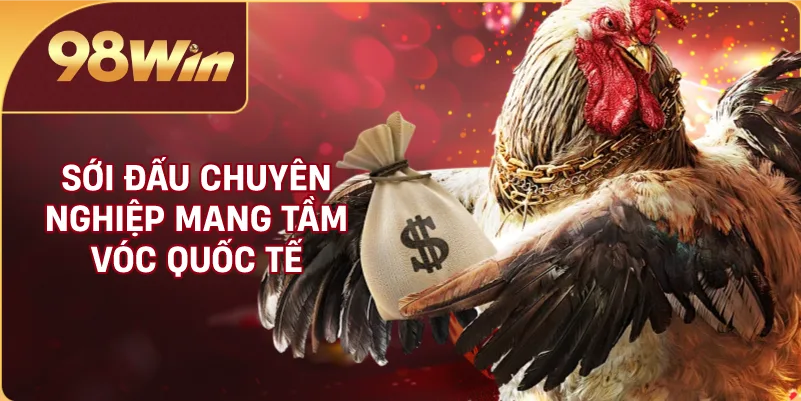 Sới đấu chuyên nghiệp mang tầm vóc quốc tế