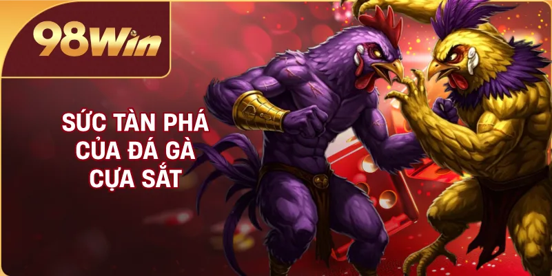 Sức tàn phá của đá gà cựa sắt